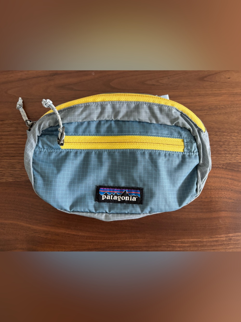 Patagonia Terravia Mini Hip Pack 1L